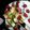 momo91's cooksnap of when they made Vickys Fruit Skewers, Kids Favourite.
