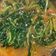 Cooksnap dari Ria Maria untuk resep Tumis Kangkung