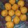 Cooksnap dari Sri Hernita untuk resep Donat korea isi coklat (tepung ketan, tanpa ragi)
