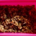 Anita Desai's cooksnap of when they made झणझणीत मिरचीचा ठेचा (mirchicha thecha recipe in marathi).