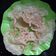 Cooksnap dari dapur_yetty (Yetti Arifin) untuk resep Rempeyek polos 1 macam tepung ala mamah...
