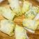 Cooksnap dari Nida Adzilah untuk resep Pepes Tahu tanpa daun pisang! Bisa pakai kol atau sawi putih