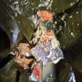 Cooksnap dari Retno Riantarti untuk resep Brengkesan Ikan Gabus