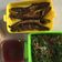 Cooksnap dari eta barus untuk resep Pecel lele ala lamongan