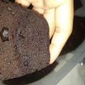 Cooksnap dari Della Fitriyani untuk resep Brownies kukus coklat lummer