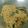 Cooksnap balqis amalia semasa beliau membuat Bihun Goreng Viral.