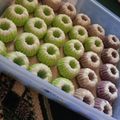 Cooksnap dari Eharell untuk resep Putu Ayu Ubi Ungu