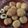 Cooksnap dari Resty Bany untuk resep Roti goreng isi kelapa