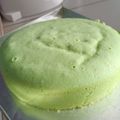 Cooksnap dari Pipin Suprinah untuk resep Bolu pandan kukus 2 buah telur
