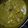 Harshita Dharmeshkumar's cooksnap of when they made પાલક પનીર(Palak paneer Recipe in Gujarati).