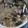 Yuenyi Leung 的 港式綠豆粥 cooksnap