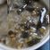 Yuenyi Leung 的 港式綠豆粥 cooksnap