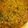 Nazia Qureshi's cooksnap of when they made Mash ki Dal.