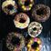 Sonal Suva's cooksnap of when they made ચોકલેટ ડોનટ્સ(Chocolate Donuts recipe in Gujarati).