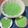 Cooksnap dari Elizabeth Ie untuk resep Agar lumut pandan santan