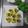  Ting匠手作 的 鳳梨沙拉 Ensalada de Piña con Menta y Limón cooksnap