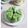 Cooksnap dari Rara Baabud untuk resep Bolu pandan meises