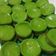 Cooksnap dari Indri Martina untuk resep Bolu Kojo mini
