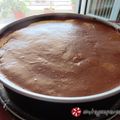Cooksnap από vasmpou στη συνταγή Ελαφρύ σοκολατένιο γλυκό με ζελατίνη