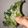 Cooksnap dari Afrida untuk resep Kale Chips