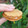 El cooksnap de María Poblete cuando hizo Alfajores de avena y dulce de leche saludables. Alfacookies.
