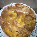 El cooksnap de Paula Gaudino cuando hizo Torta De Manzana Integral.