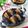 Cooksnap dari desmawati kuretangin untuk resep Pukis PandanLembut