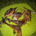 Cooksnap dari Pawon Enak Bunda"chiia untuk resep Ikan bakar asoy