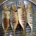 Cooksnap dari Just_dyta untuk resep Kembung bakar Teflon