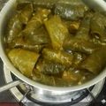 صورة من Shams، شاركها بعد تجربة وصفة محشي ورق عنب