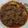 Cooksnap dari Rini Arinda untuk resep kalio daging padang