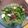 Cooksnap dari Hanifa Hanifa untuk resep 🌿Ca Sawi Hijau ala Food Center🌿