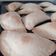 El cooksnap de Josefina Constantini cuando hizo Empanadas de atún y queso.