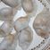 Cooksnap dari melysa untuk resep HAKAU UDANG YUMMY