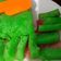 Cooksnap dari Devie Mutia Rahayu untuk resep Kue lapis ubi (singkong)