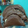 Cooksnap dari Nine Wulan untuk resep Martabak coklat debm