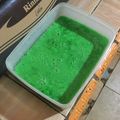 Cooksnap dari Little Ferdian untuk resep Puding Lumut