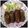 chaitali ghatak's cooksnap of when they made Beetroot  cutlets with avocado walnut dip.