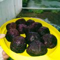 Cooksnap dari MmRFFNSTY untuk resep Bola - Bola Ubi Jalar