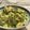 El cooksnap de Kenta Hashimoto cuando hizo Guacamole mexicano.