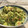 El cooksnap de Kenta Hashimoto cuando hizo Guacamole mexicano.