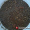 Cooksnap από kamelia8 στη συνταγή Φακές με σάλτσα ντομάτας και όχι μόνο