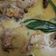 Cooksnap dari Novita Ariani untuk resep Gulai Kepala Kakap Padang