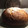 El cooksnap de elisabet panella cuando hizo Panquemao o toña.