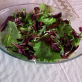 El cooksnap de Eduardo Agudo Alba cuando hizo Ensalada con queso mozzarella.
