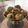Neeta Gandhi's cooksnap of when they made બેસન ના લાડુ (Besan Laddu Recipe In Gujarati).