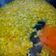 Smruti Mitali Madhusmita का कुकस्नैप जब उन्होंने साबूदाना हलवा (sabudana halwa recipe in hindi) बनाया था।