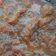 Cooksnap dari Sulis Hariyanto untuk resep Krengsengan Daging