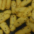 Cooksnap dari dwiyanti untuk resep Lidah Kucing Keju