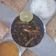 Pina Mandaliya's cooksnap of when they made ભીંડા નુ શાક (Bhinda Shak Recipe In Gujarati).